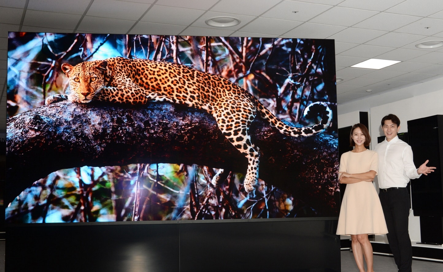 First Micro Led Display From Lg Sets New Standard For Commercial